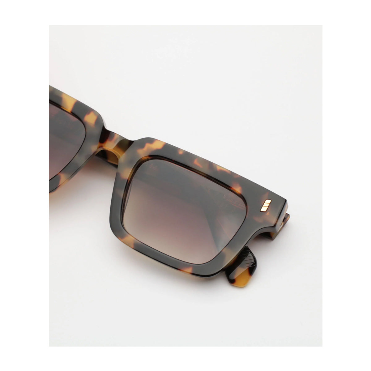 Gast Not Common NC05 Havana Marrone Acetate Occhiali Da Sole