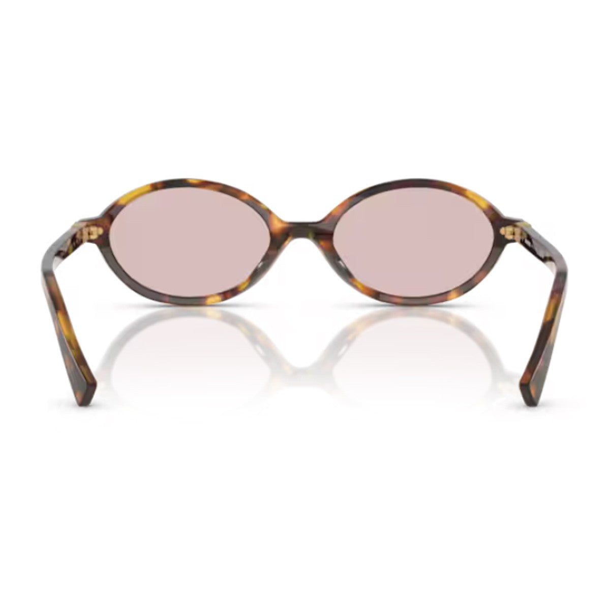 Miu 04zs Regard Honey Havana Acetato Sunglasses