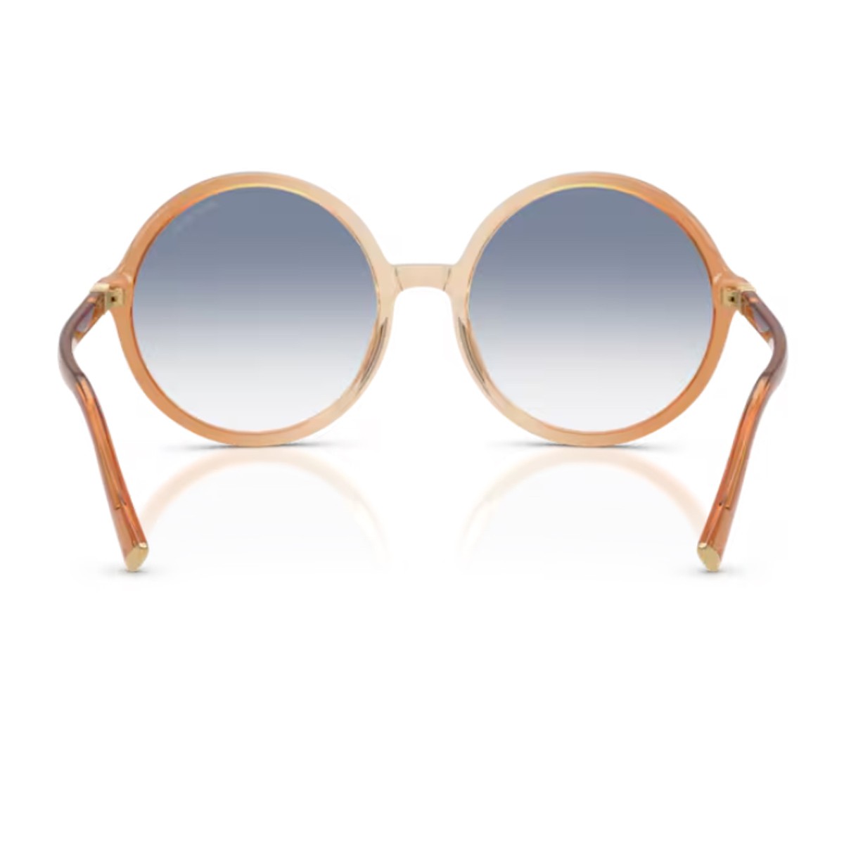 Miu 0mu B02s Regard Brown Acetato Sunglasses