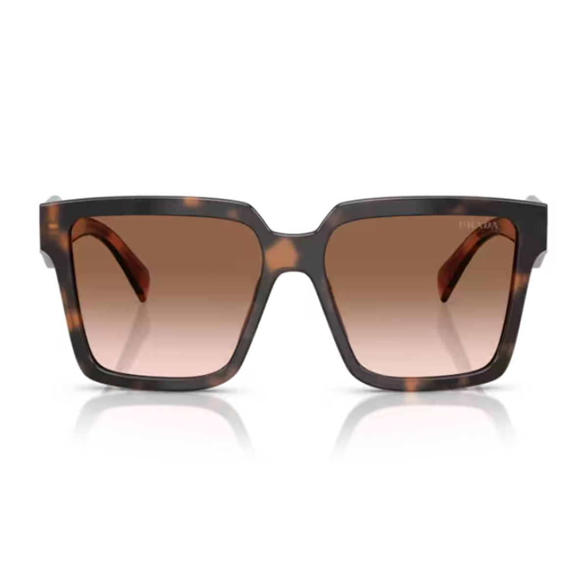 Prada Pr 24zs Havana Acetato Sunglasses