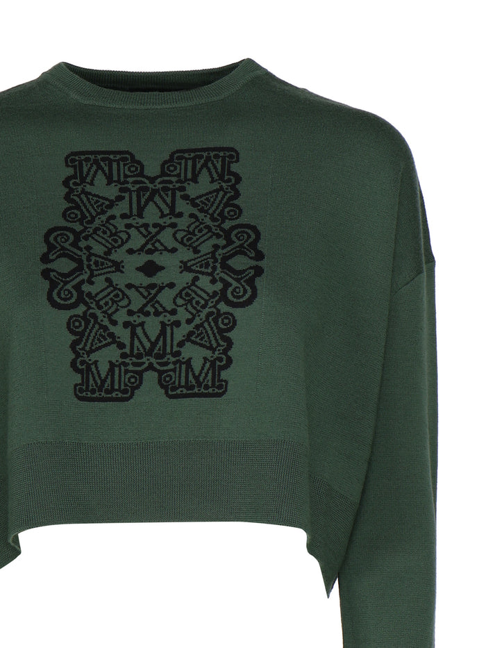 Max Mara Sweaters Green Virgin Wool