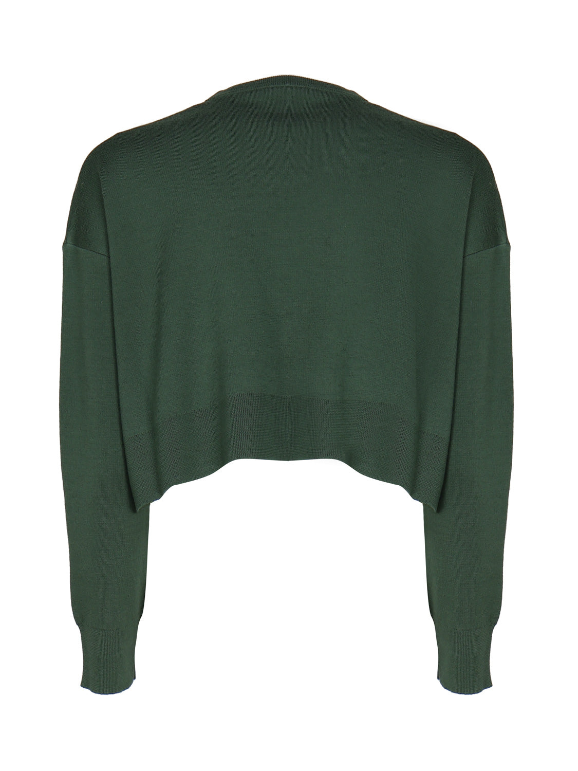 Max Mara Sweaters Green Virgin Wool