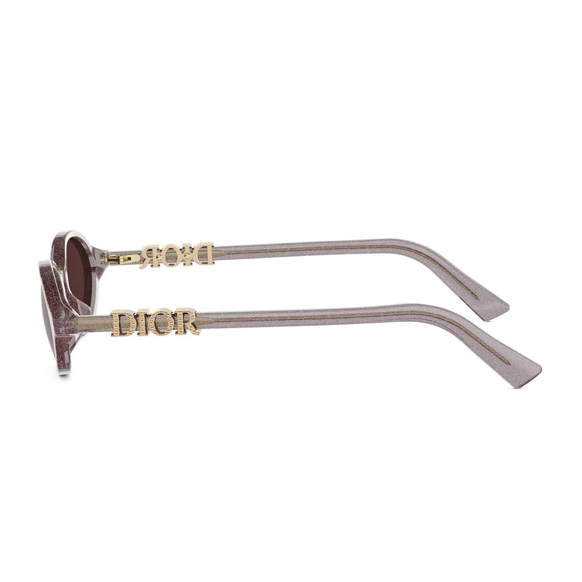 Diortreasure R1i Transparent Glitter Purple Acetato Sunglasses