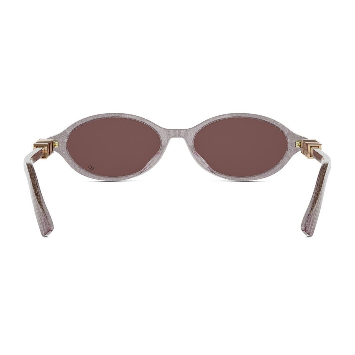 Diortreasure R1i Transparent Glitter Purple Acetato Sunglasses