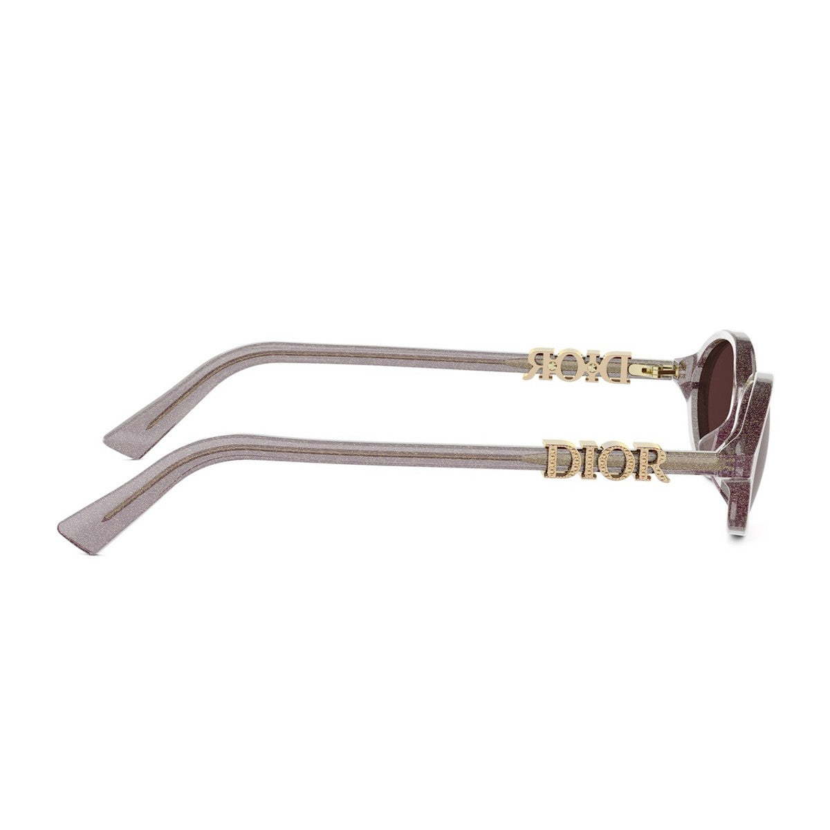 Diortreasure R1i Transparent Glitter Purple Acetato Sunglasses