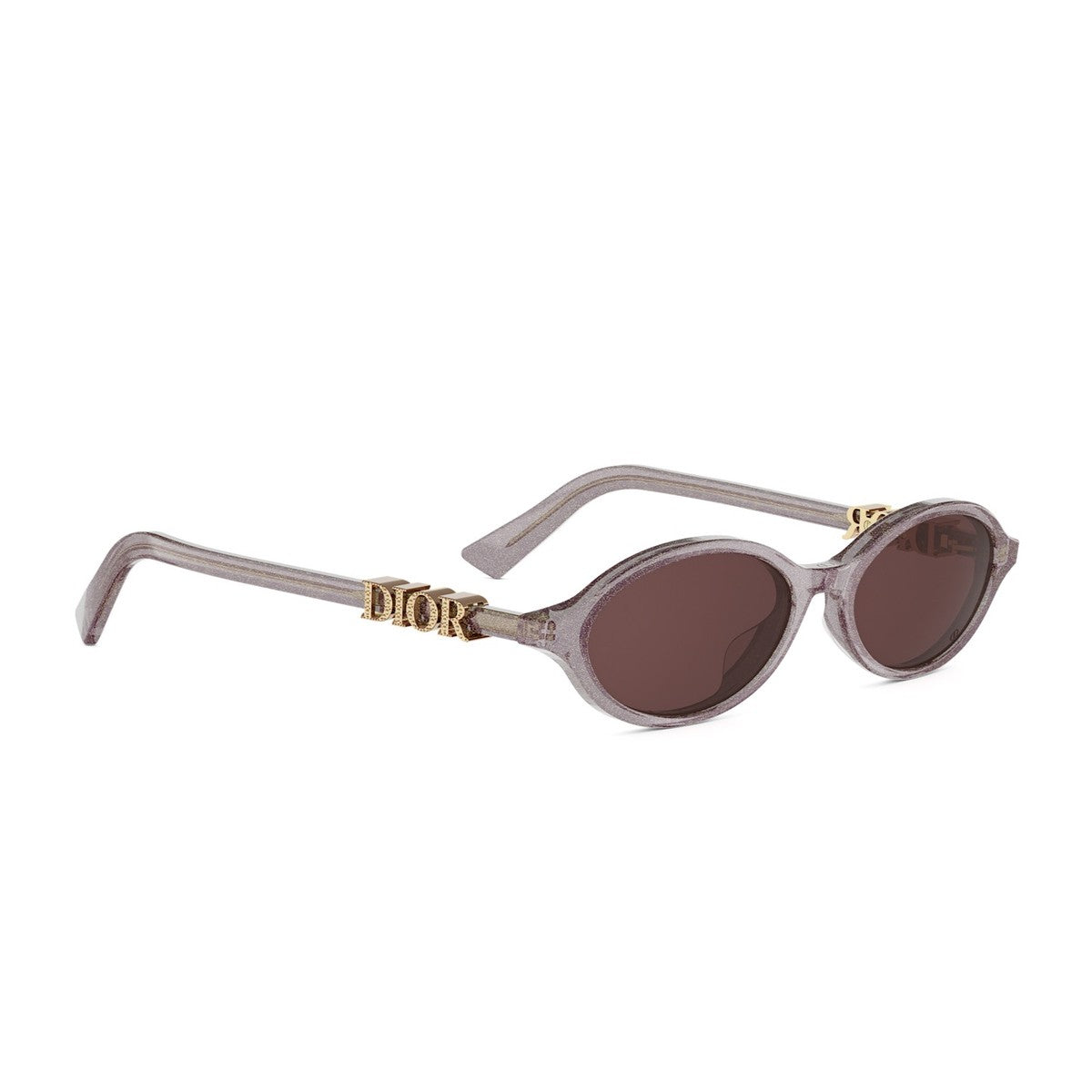 Diortreasure R1i Transparent Glitter Purple Acetato Sunglasses
