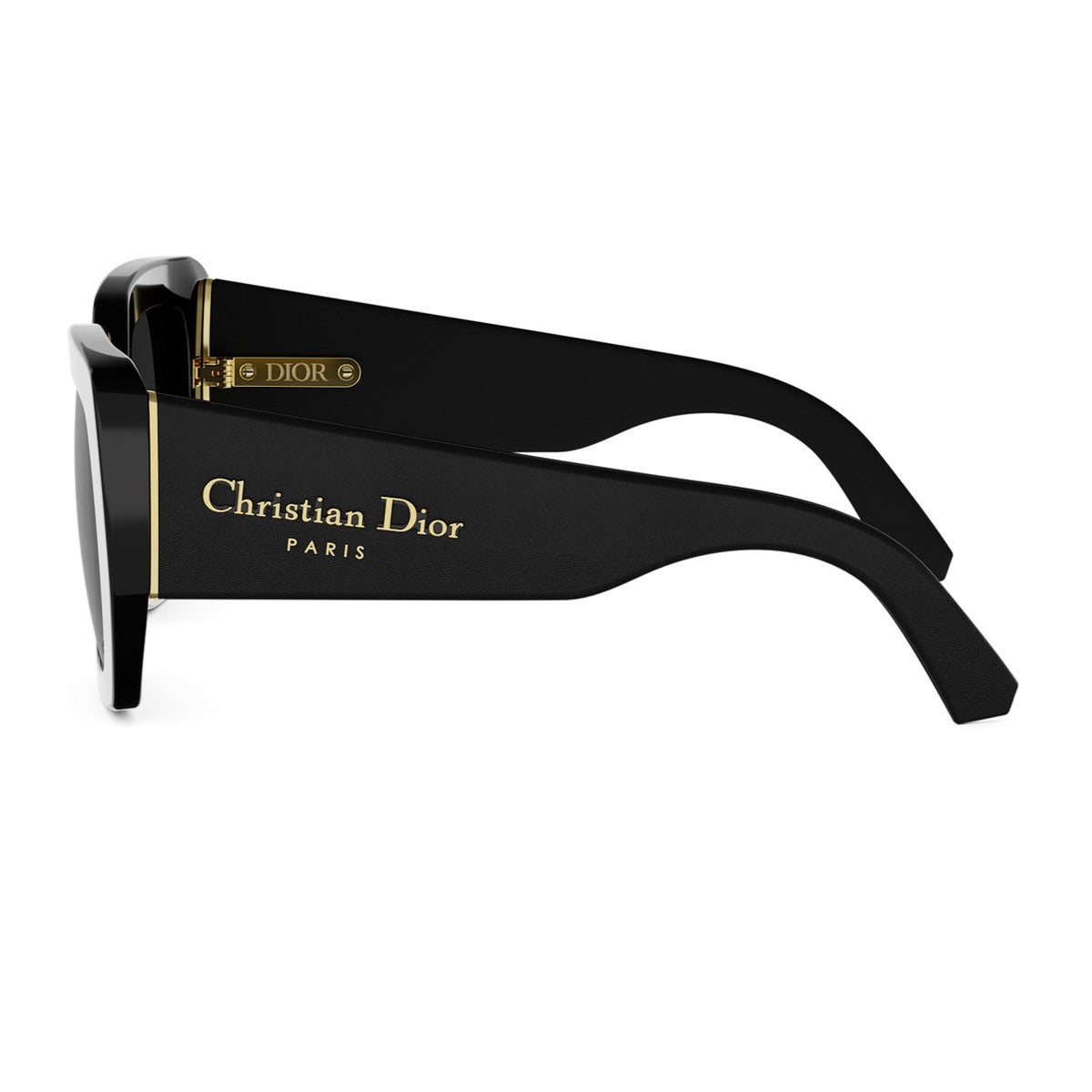 Diorombre S2i Black Acetato/pelle Sunglasses