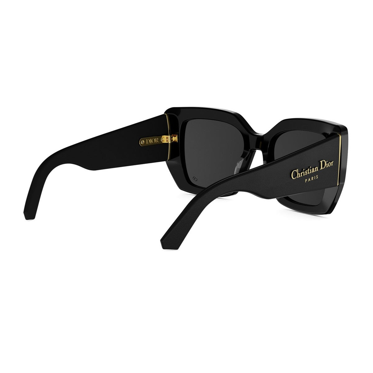 Diorombre S2i Black Acetato/pelle Sunglasses