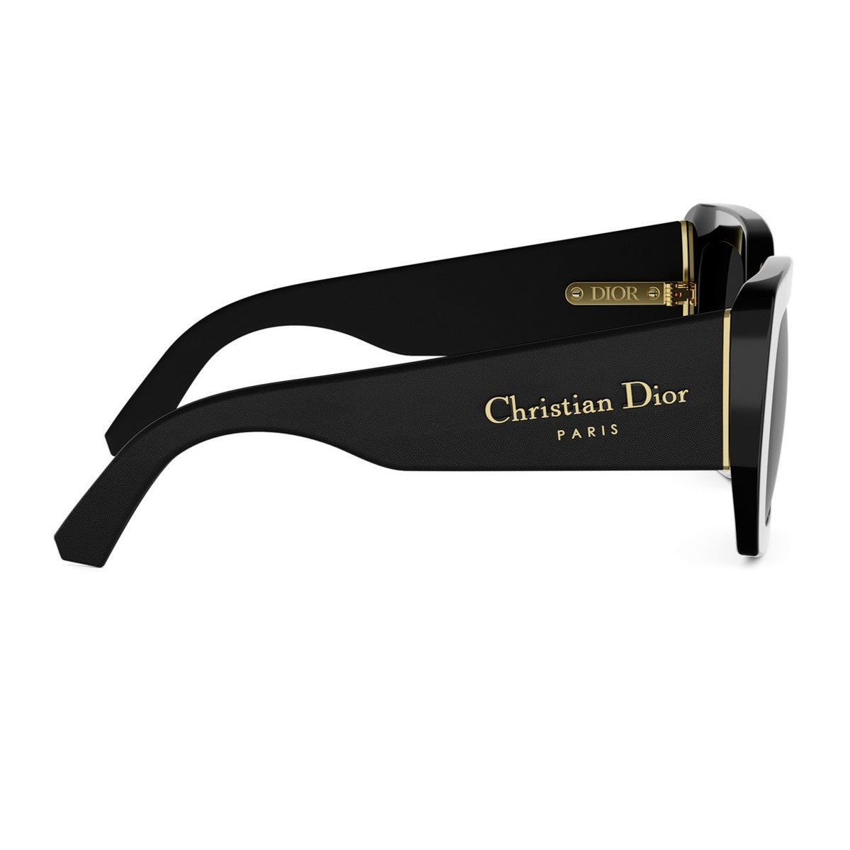 Diorombre S2i Black Acetato/pelle Sunglasses