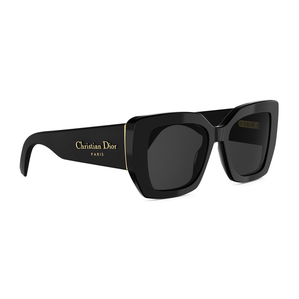 Diorombre S2i Black Acetato/pelle Sunglasses