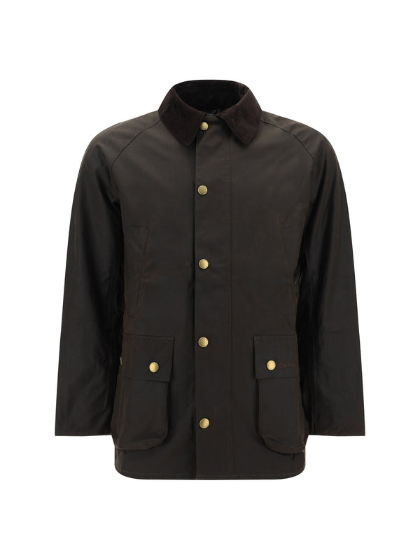 Jacket Ashby Olive Cotton