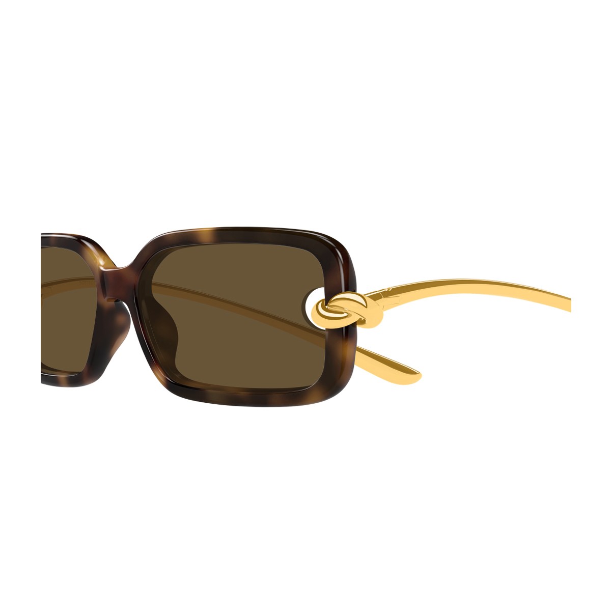 Bottega Veneta Bv1439s Linea Signature Icons Havana Bio-iniettato/metallo Sunglasses