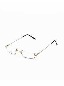 8894a Metallic Titanium | Glasses