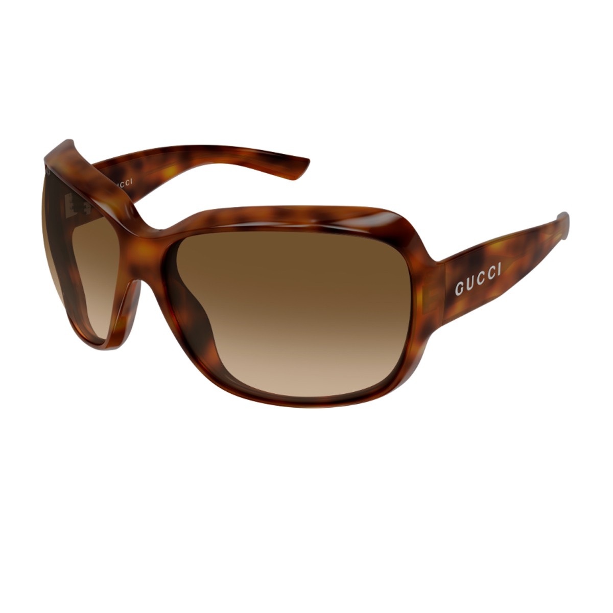 Gucci Gg2176s Linea Institutional Logo Havana Iniettato Sunglasses