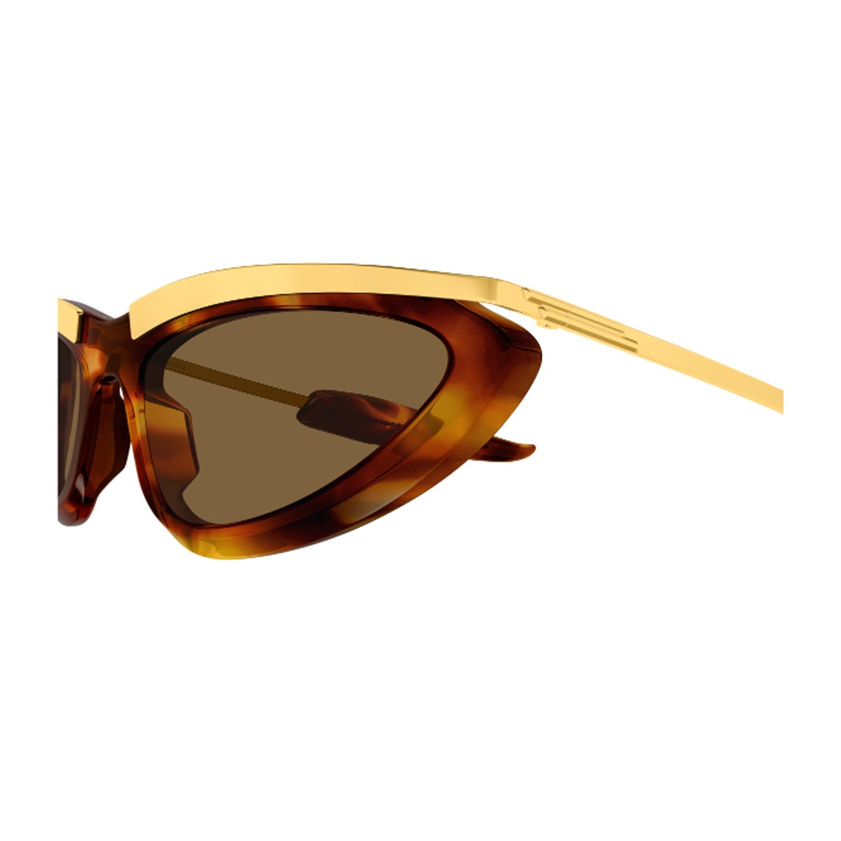 Bottega Veneta Bv1477s 003 Linea Signature Icon Havana Acetato/metallo Sunglasses