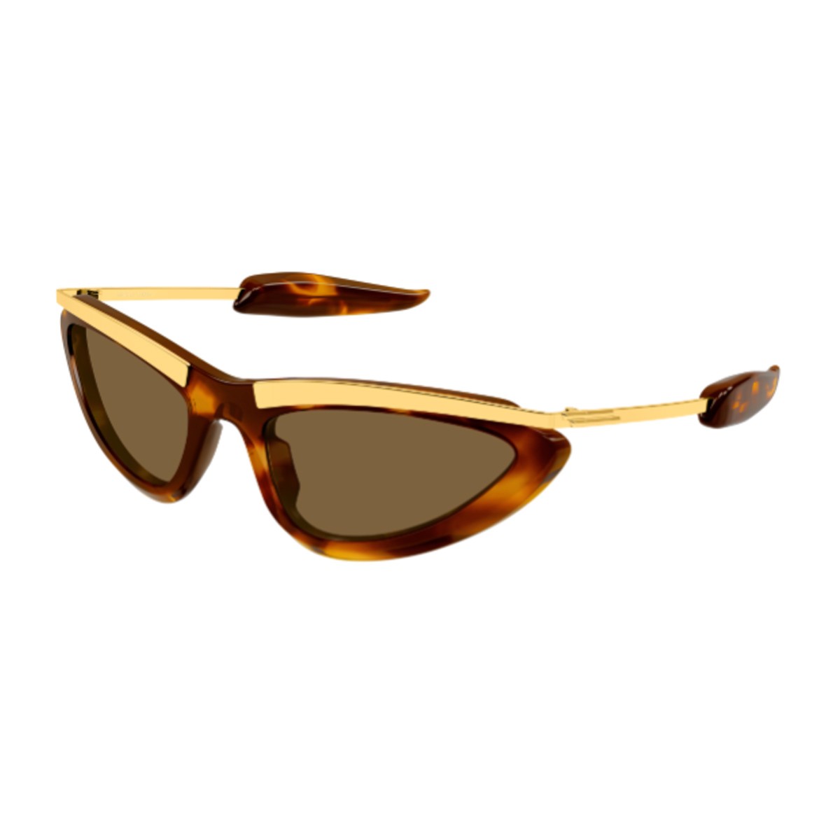 Bottega Veneta Bv1477s 003 Linea Signature Icon Havana Acetato/metallo Sunglasses