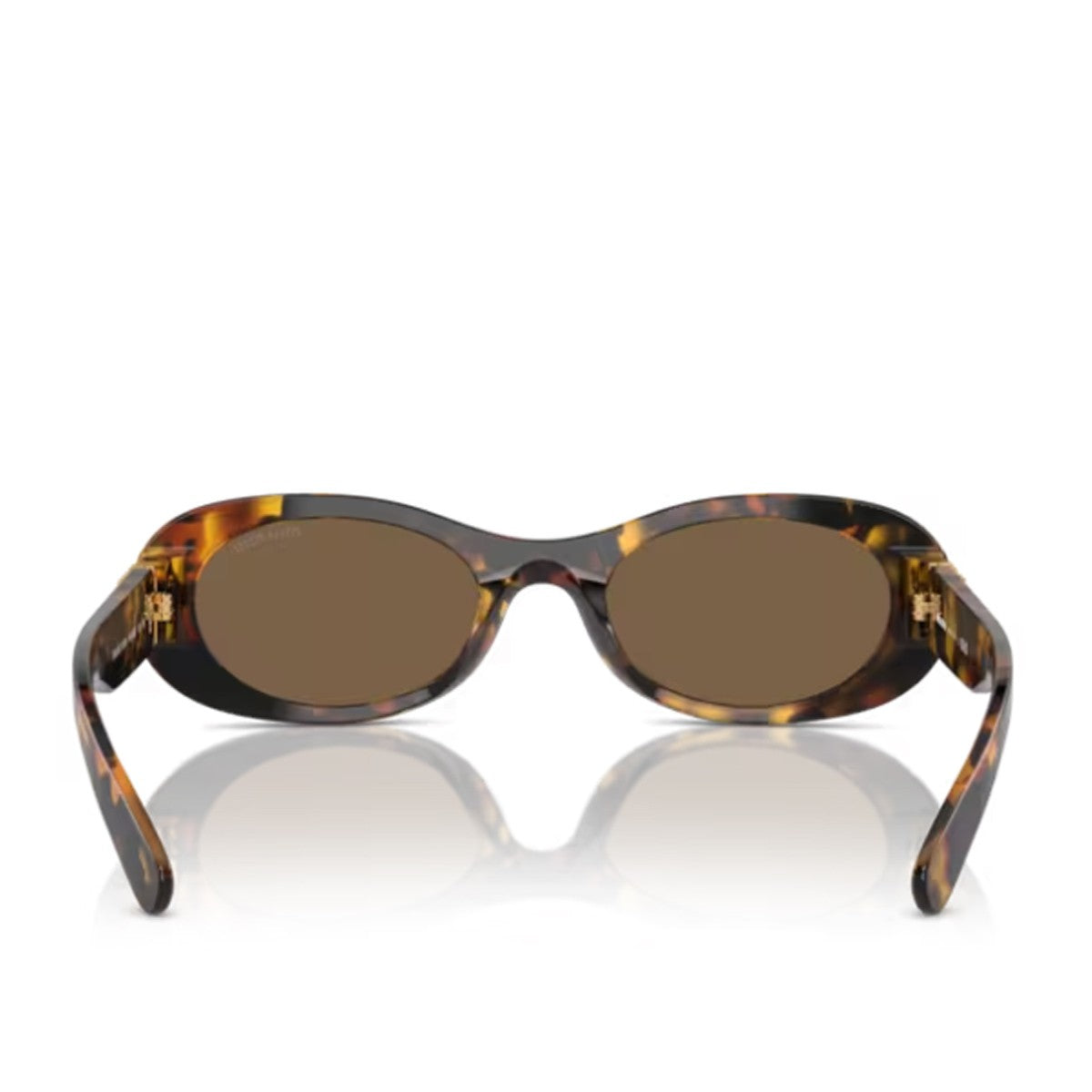 Miu 0mu 06zs Havana Acetato Sunglasses