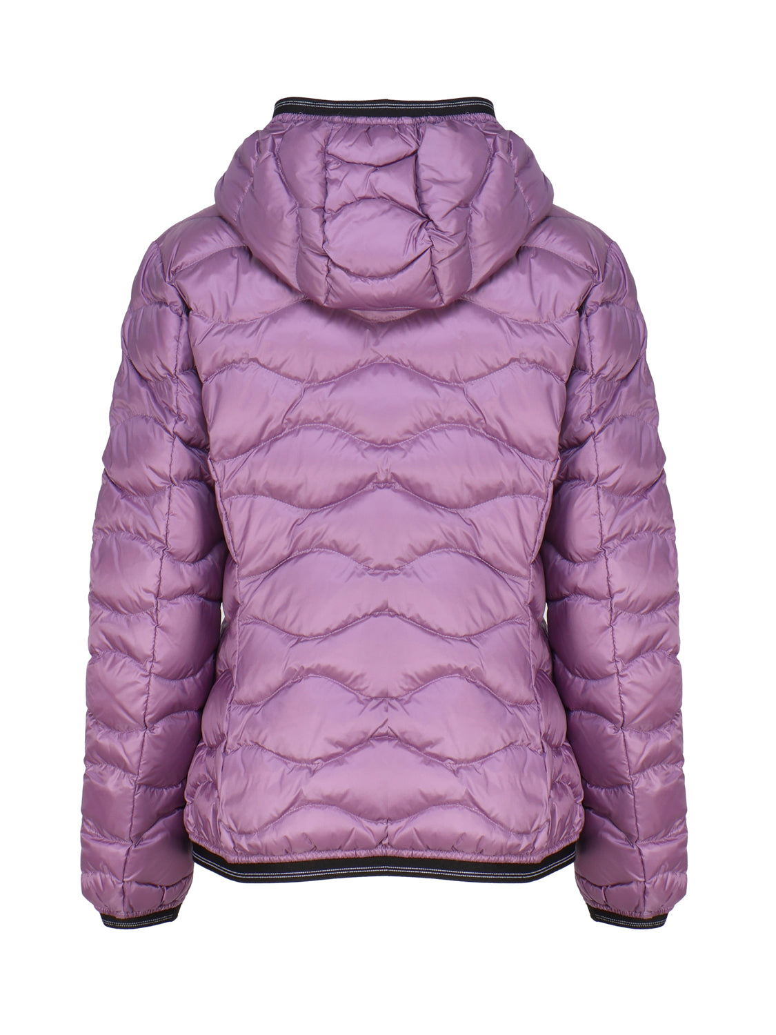 Blauer Coats Purple Nylon