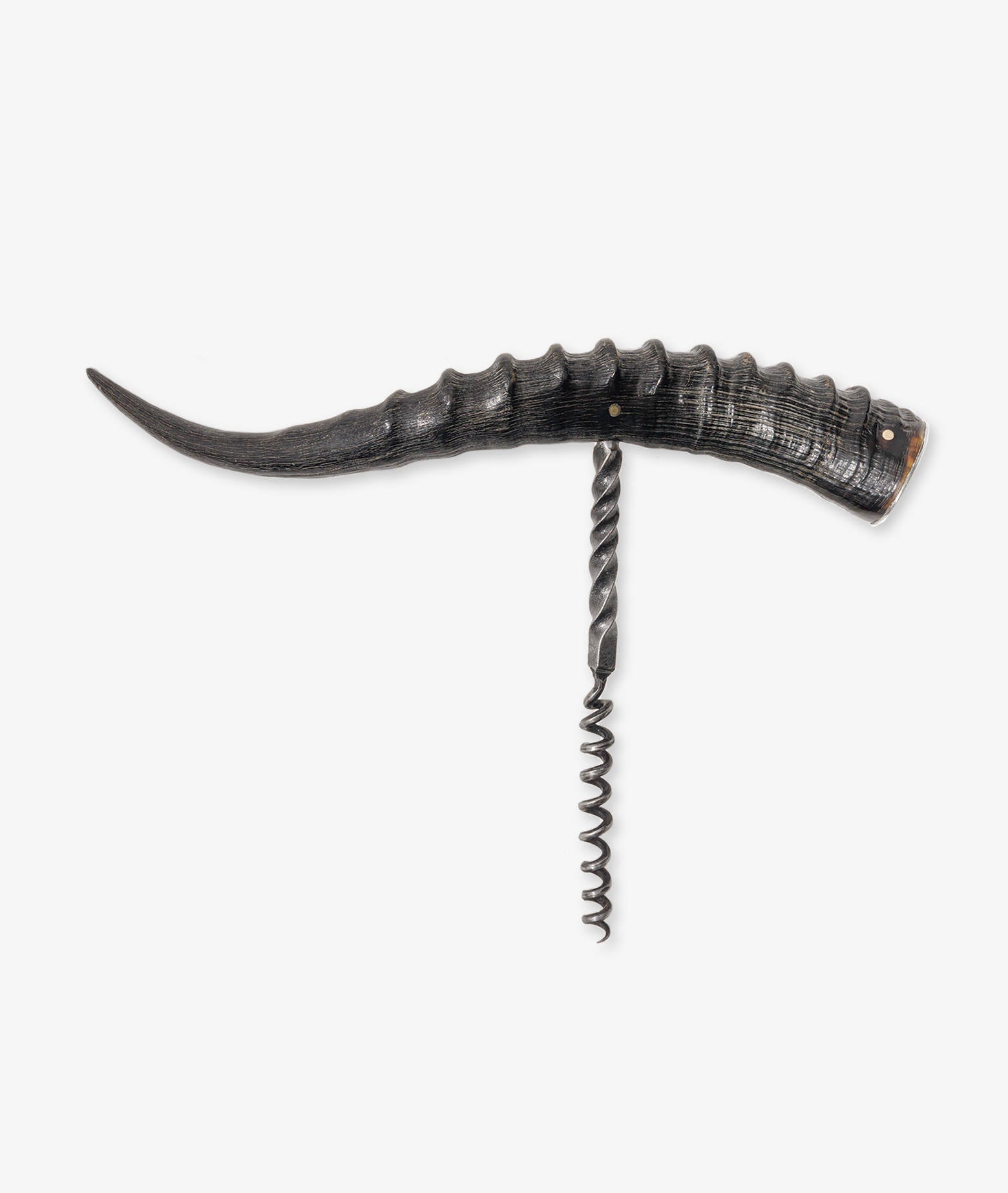 Corkscrew Giant Blesbok Darkbrown