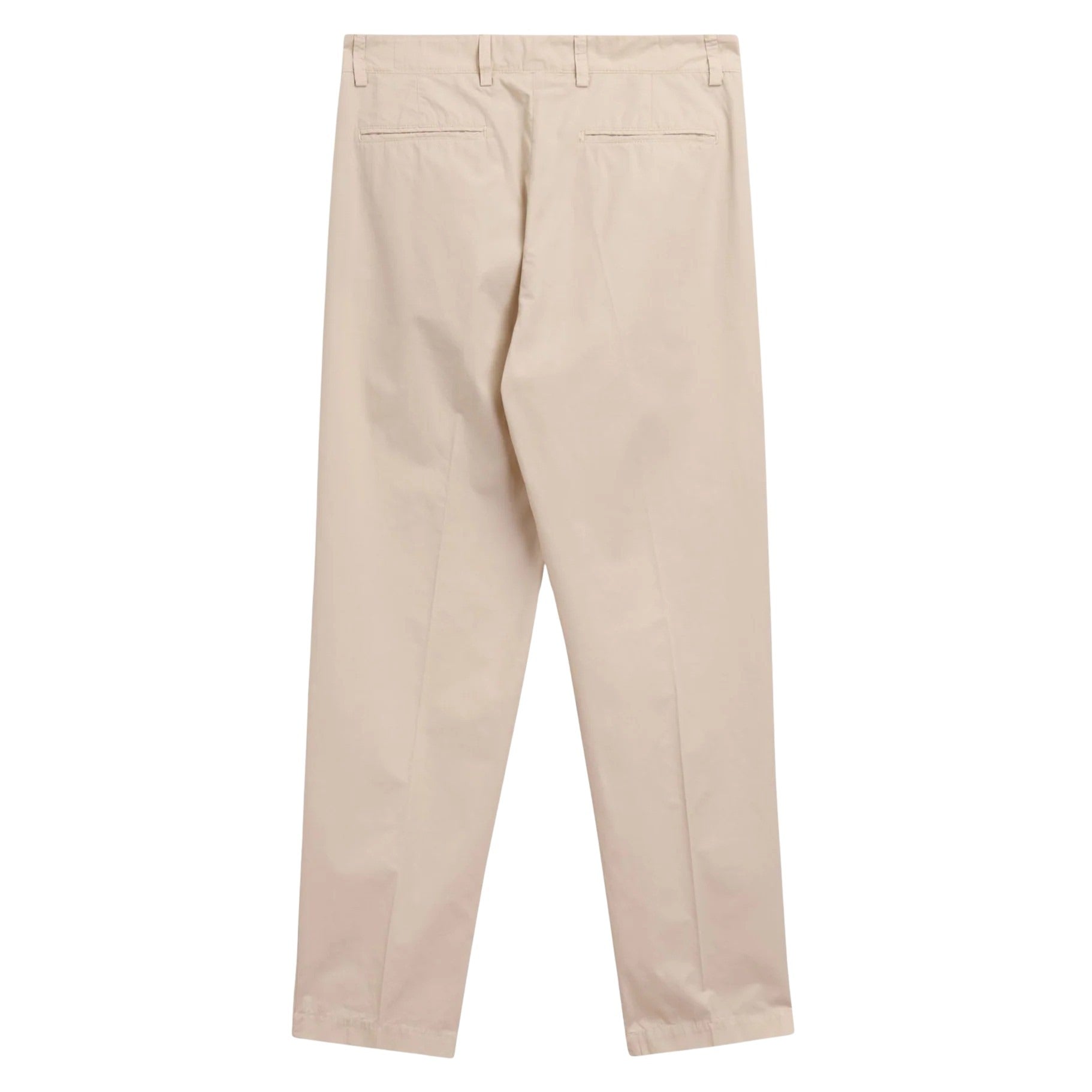Sasanoa Brown Cotton Pant