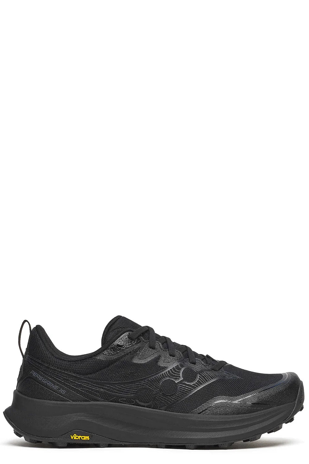 Peregrine 16 Gtx Black +synthetic Shoe