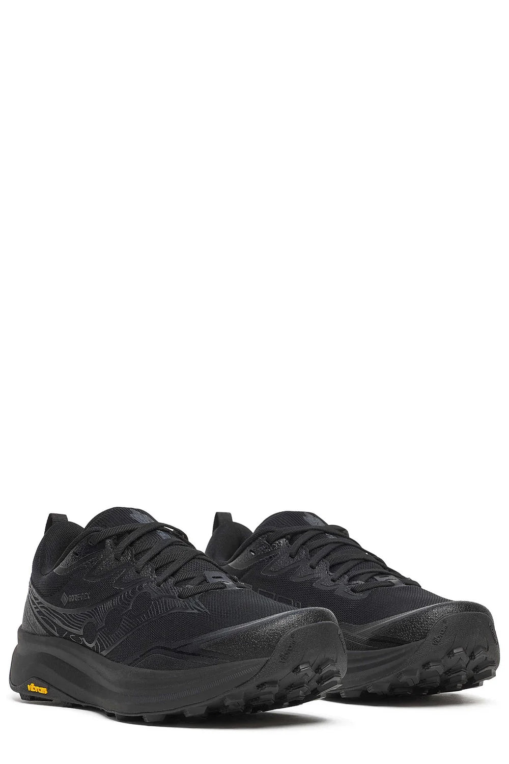Peregrine 16 Gtx Black +synthetic Shoe