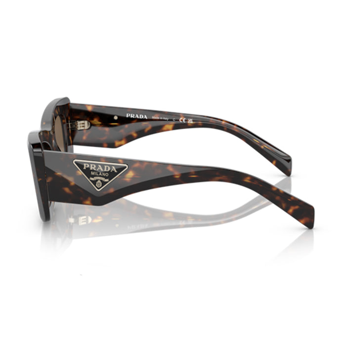 PR13ZS 2AU06B Marrone Celluloid Occhiali Sole