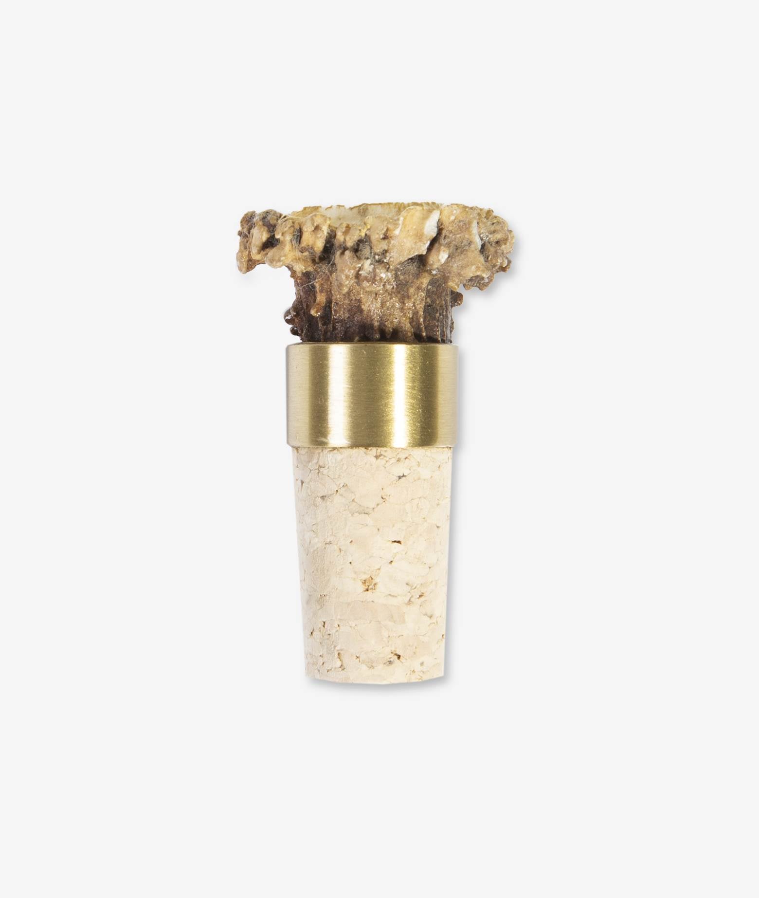 Wine Cork Quercus Suber Neutral Accessories