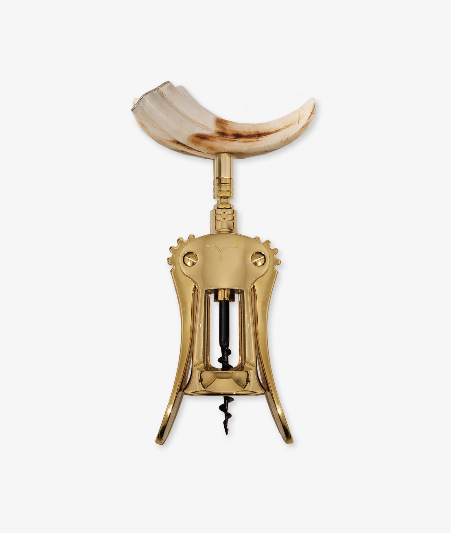 Corkscrew Zibibbo Yellow