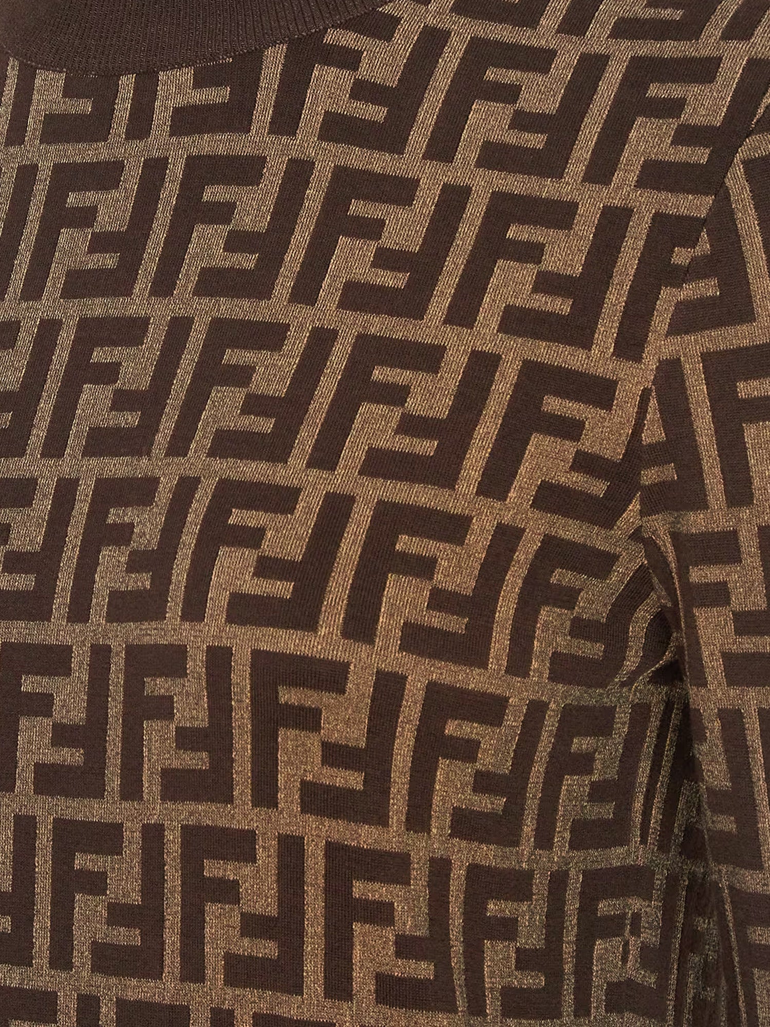 Fendi Sweaters Brown Cotone
