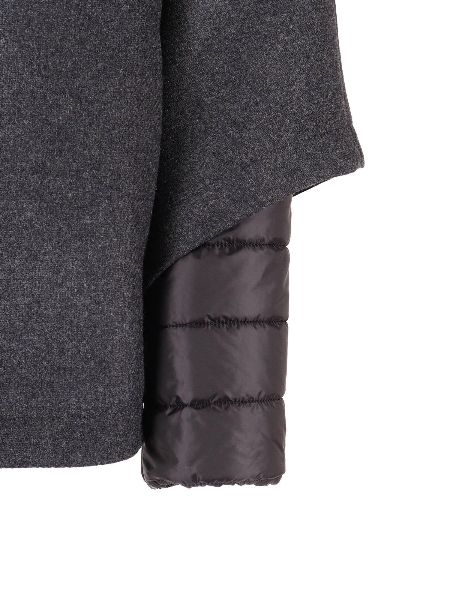 Double Striped Cape Grey