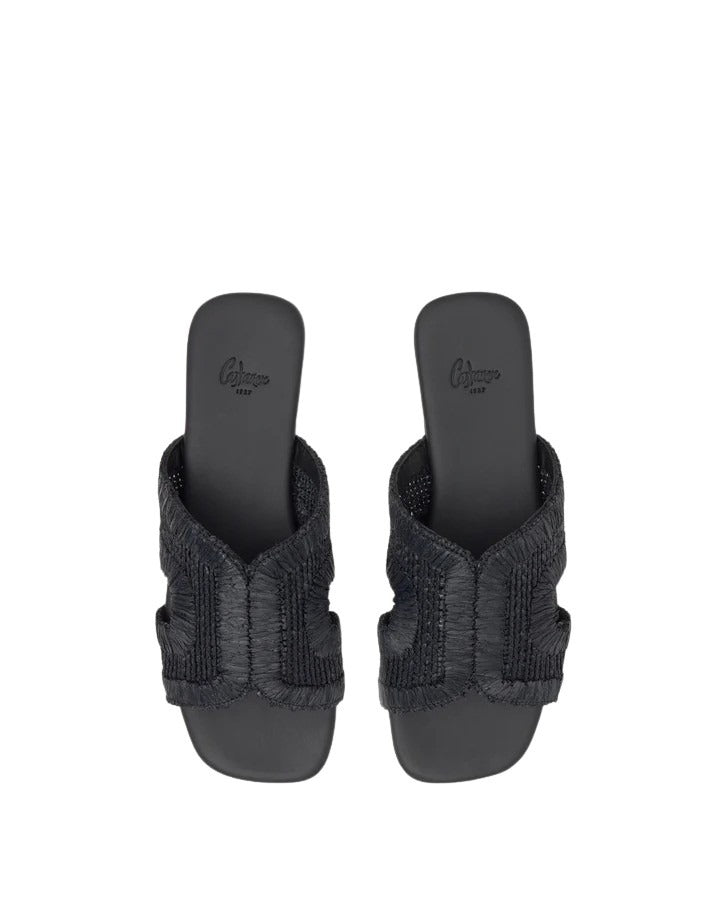 Phillipa 295 Black Shoe