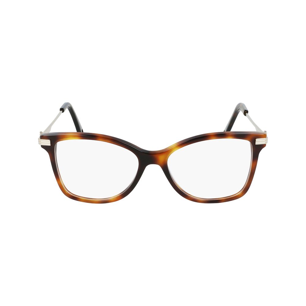Brown Acetate Glasses (frames) Accessory