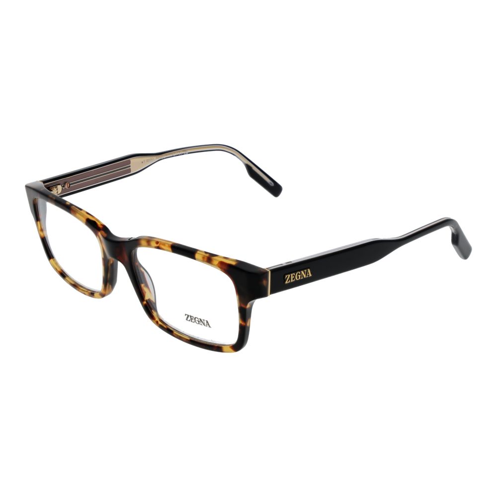 Brown Acetate Glasses (frames) Accessory