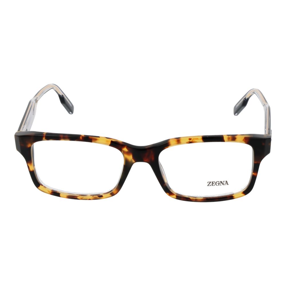 Brown Acetate Glasses (frames) Accessory