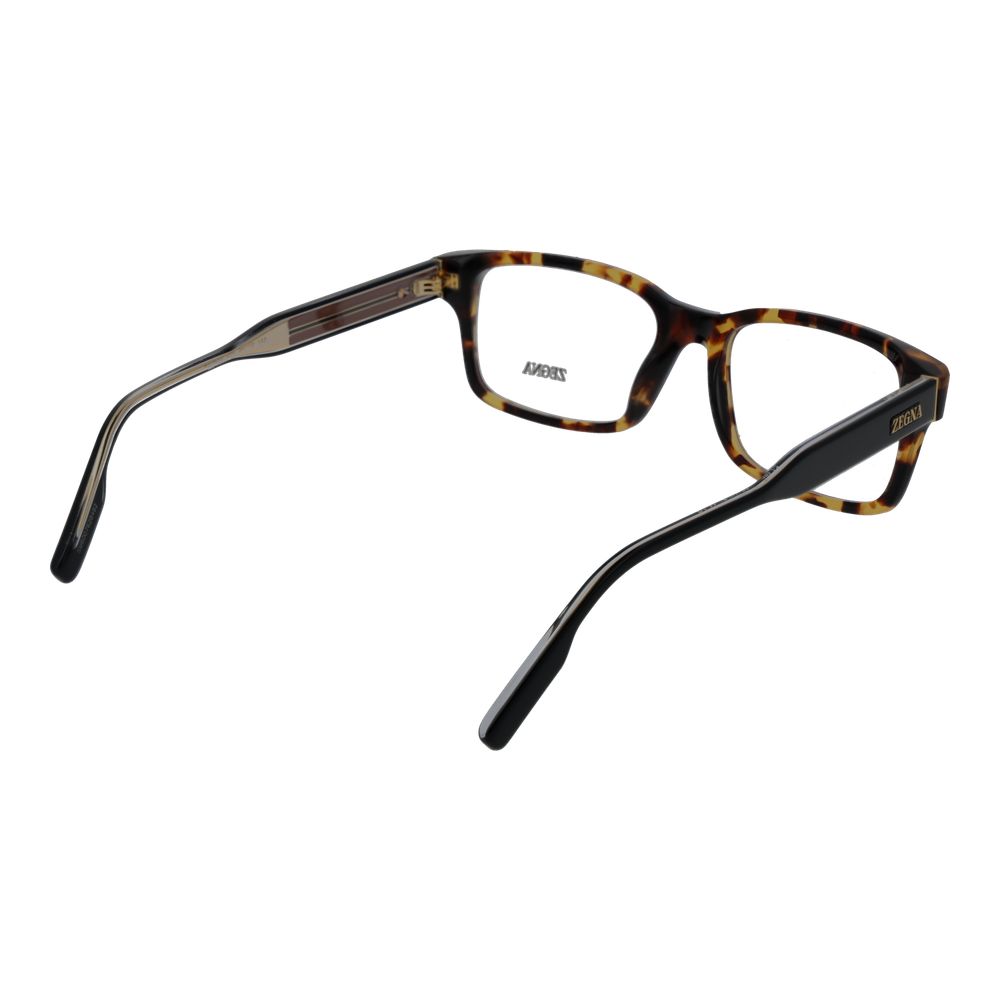 Brown Acetate Glasses (frames) Accessory