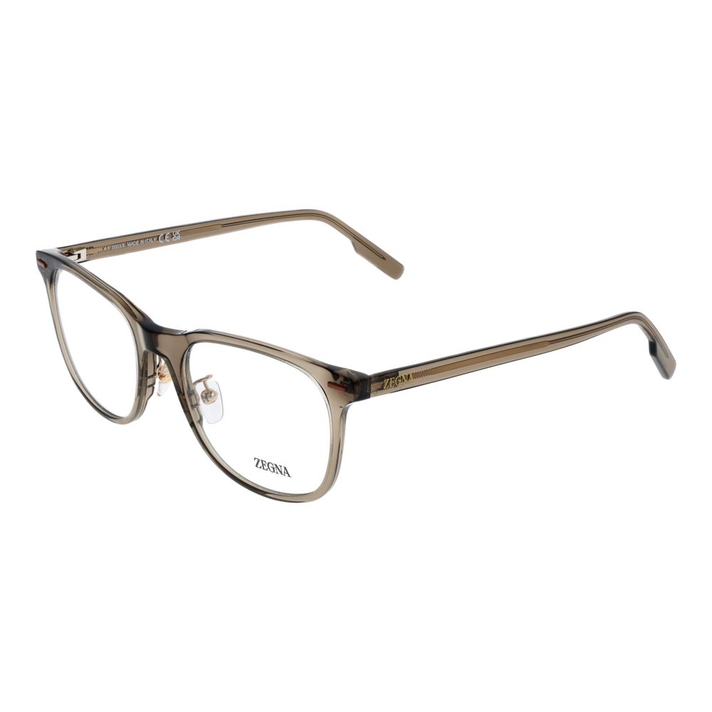 Brown Acetate Glasses (frames) Accessory