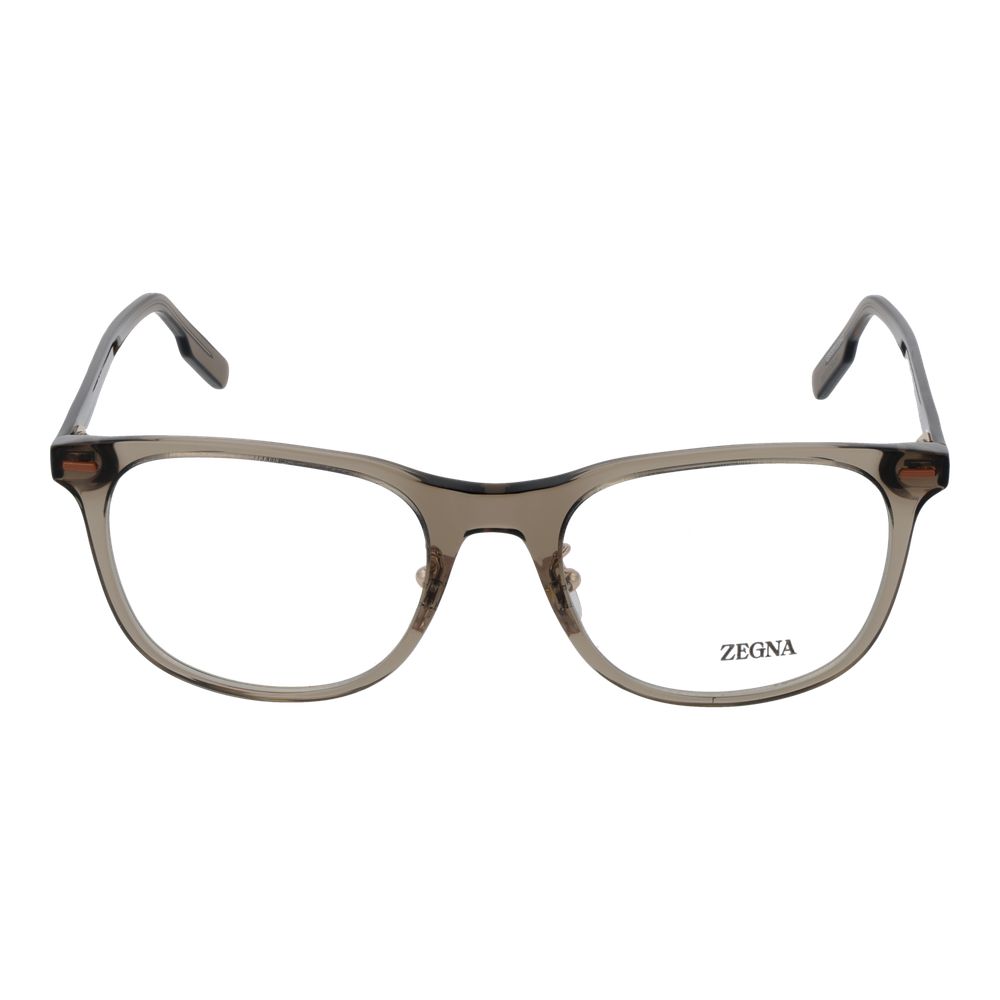 Brown Acetate Glasses (frames) Accessory