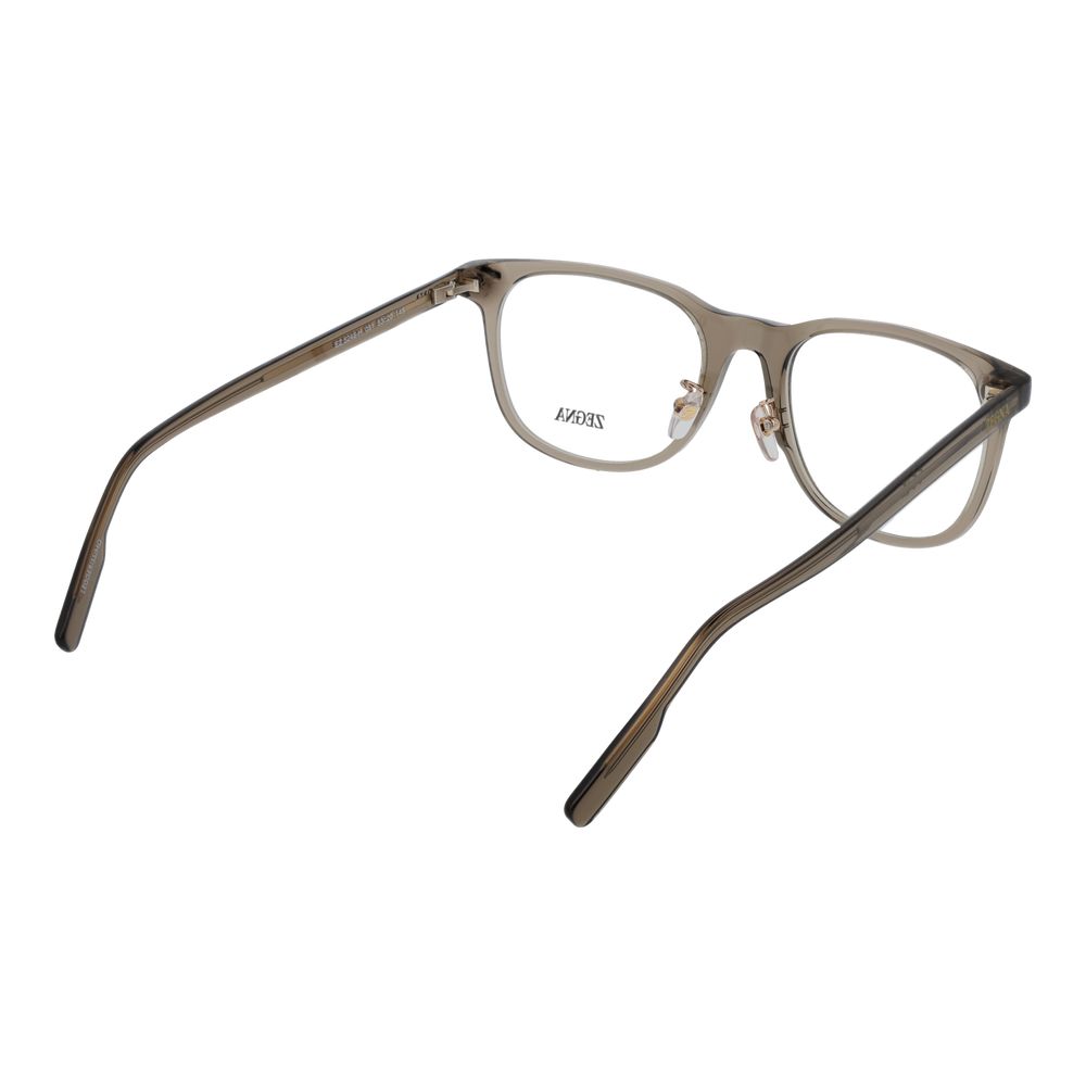 Brown Acetate Glasses (frames) Accessory