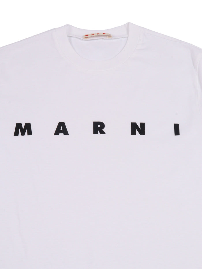T-shirts White Cotton Short Sleeves T-shirt