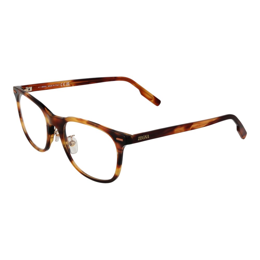Brown Acetate Glasses (frames) Accessory