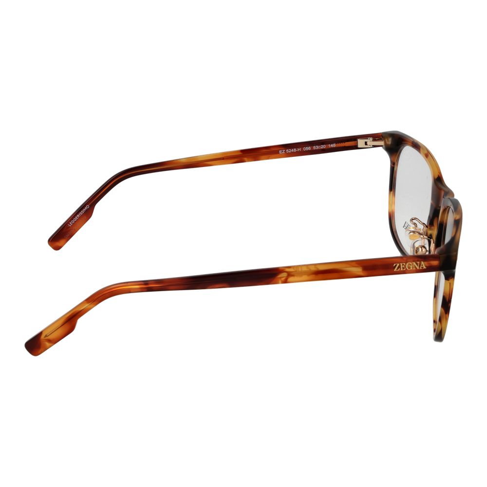 Brown Acetate Glasses (frames) Accessory