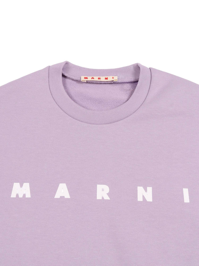 Sweaters Purple Cotton Crewneck