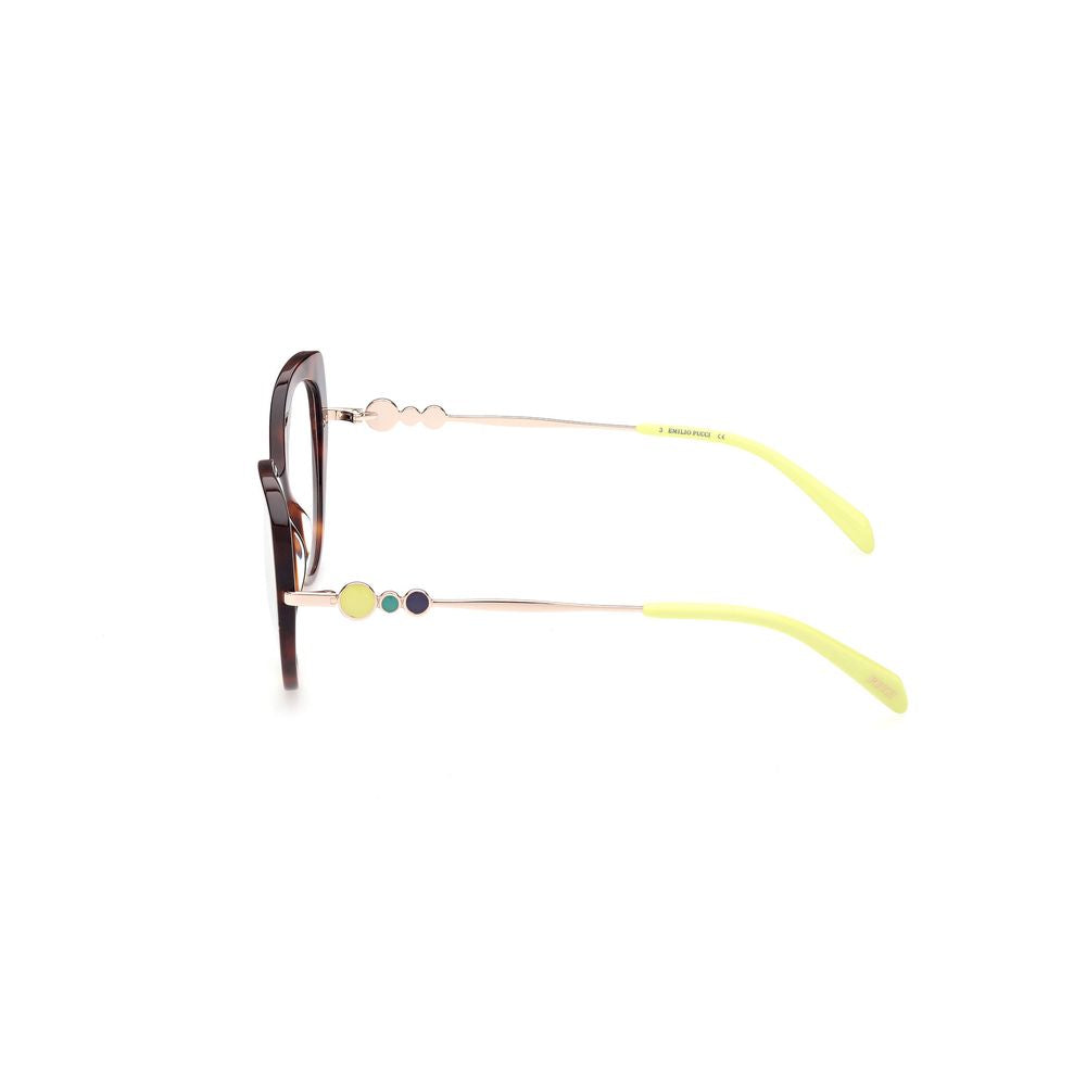Brown Acetate Glasses (frames) Accessory
