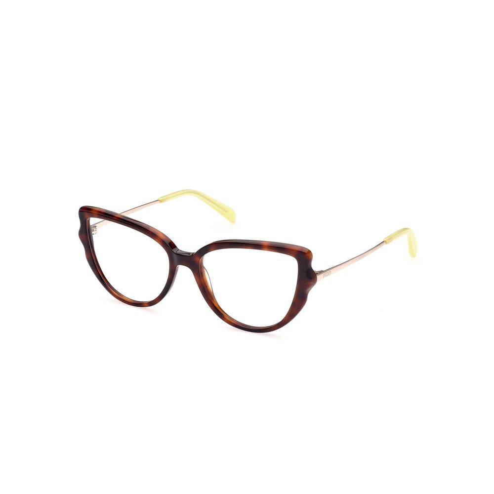 Brown Acetate Glasses (frames) Accessory