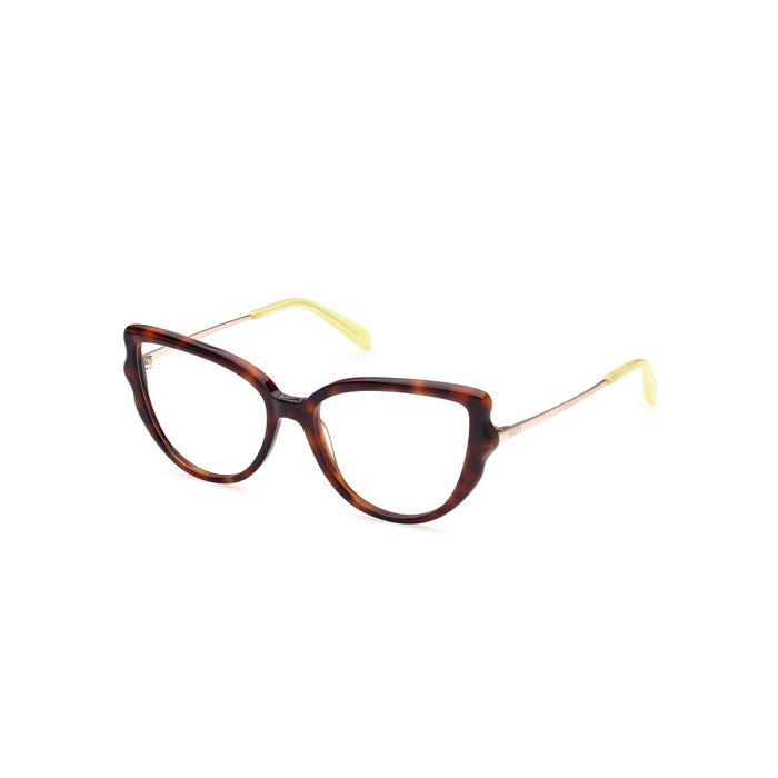 Brown Acetate Glasses (frames) Accessory
