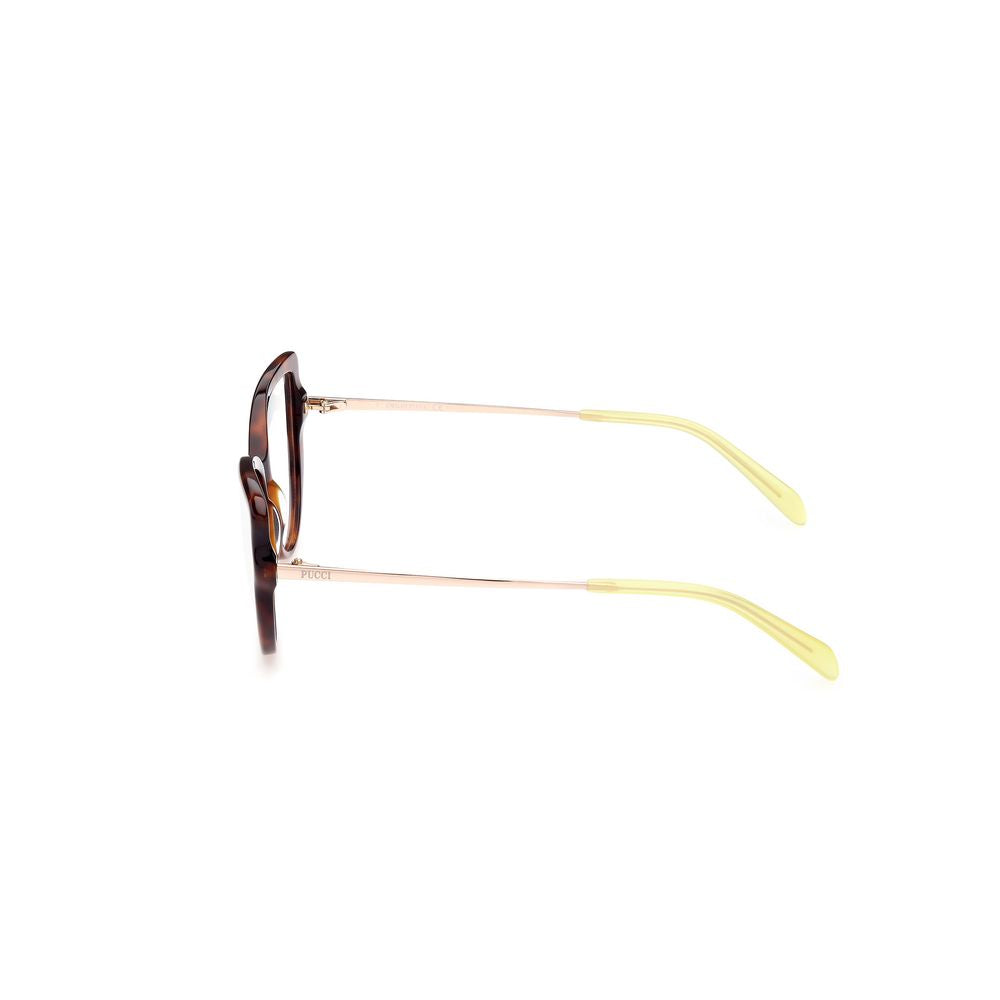 Brown Acetate Glasses (frames) Accessory