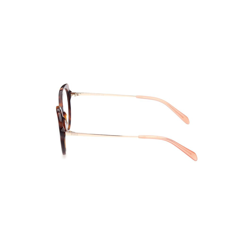 Brown Acetate Glasses (frames) Accessory