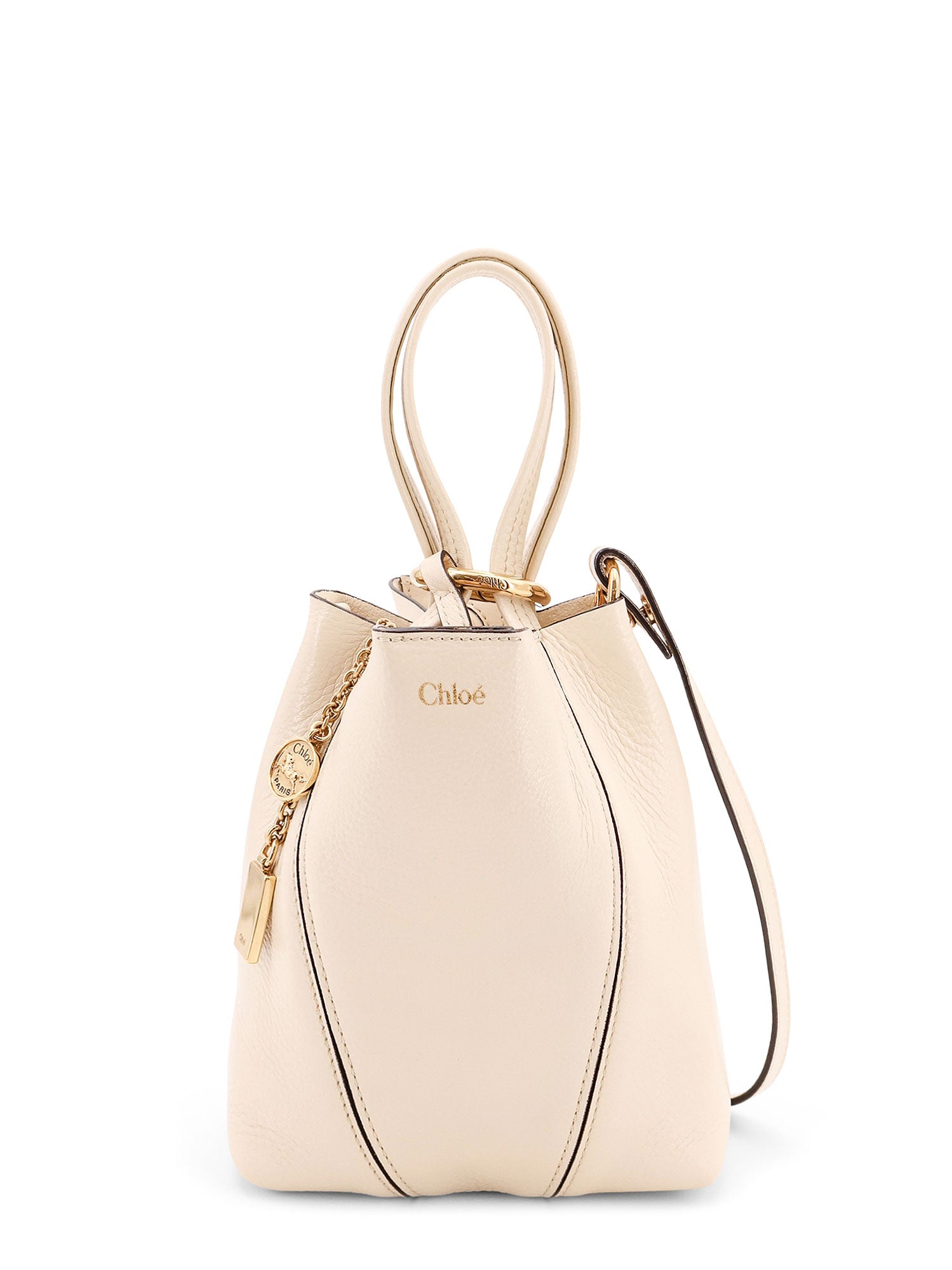 Chloè Bags Brown Pelle