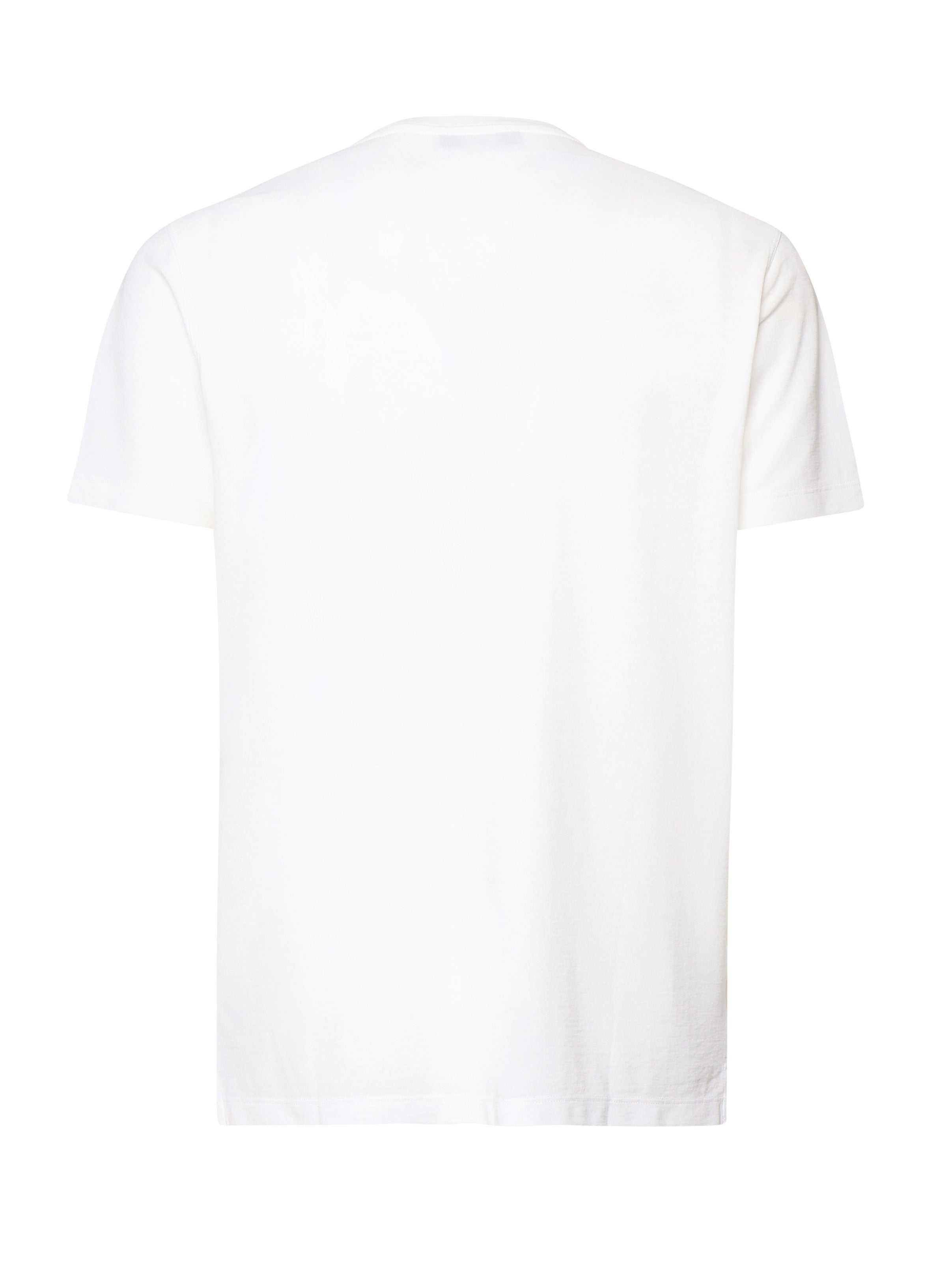 Zanone T-Shirts And Polos White Cotton